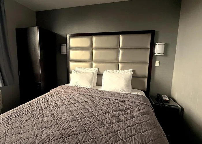 Umbrella Hotel Bronx New York